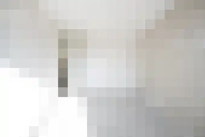 Pyreneeën 69 Amersfoort thumbnail 15