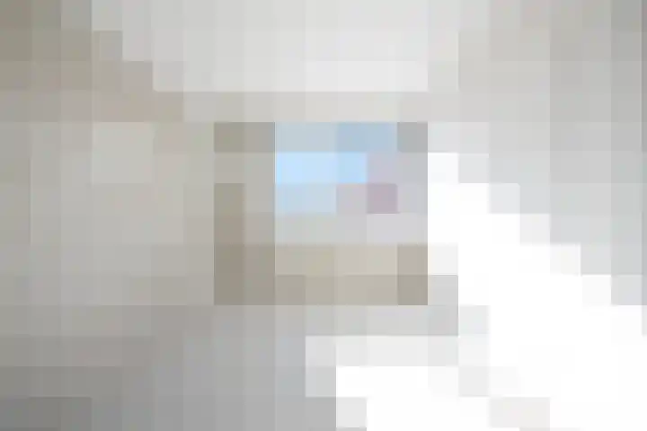 Pyreneeën 69 Amersfoort thumbnail 16