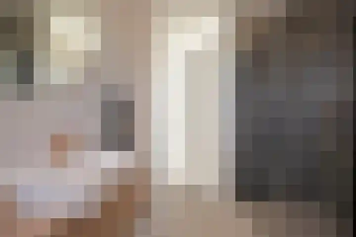 Pyreneeën 69 Amersfoort thumbnail 20