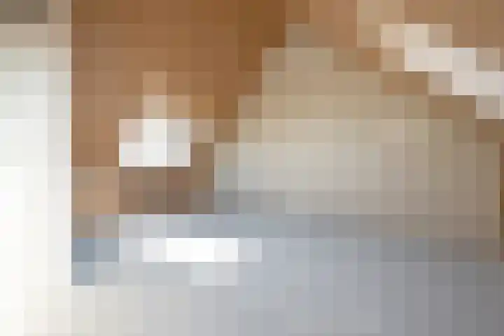 Pyreneeën 69 Amersfoort thumbnail 28