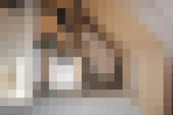 Pyreneeën 69 Amersfoort thumbnail 30