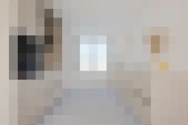 Pyreneeën 69 Amersfoort thumbnail 5