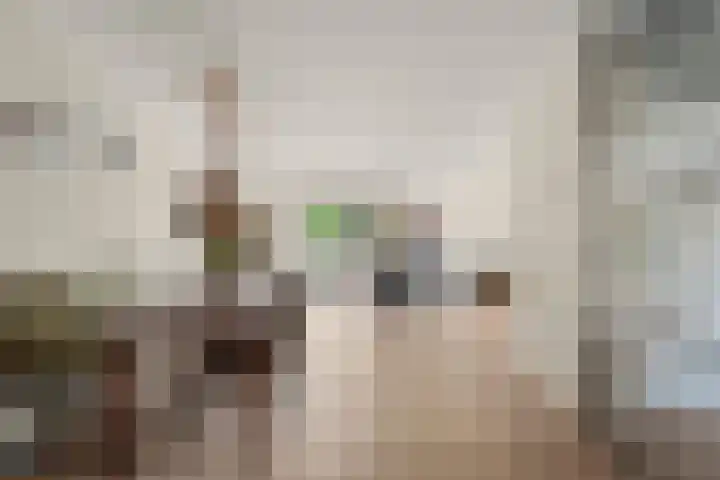 Pyreneeënstraat 13 Woerden thumbnail 7