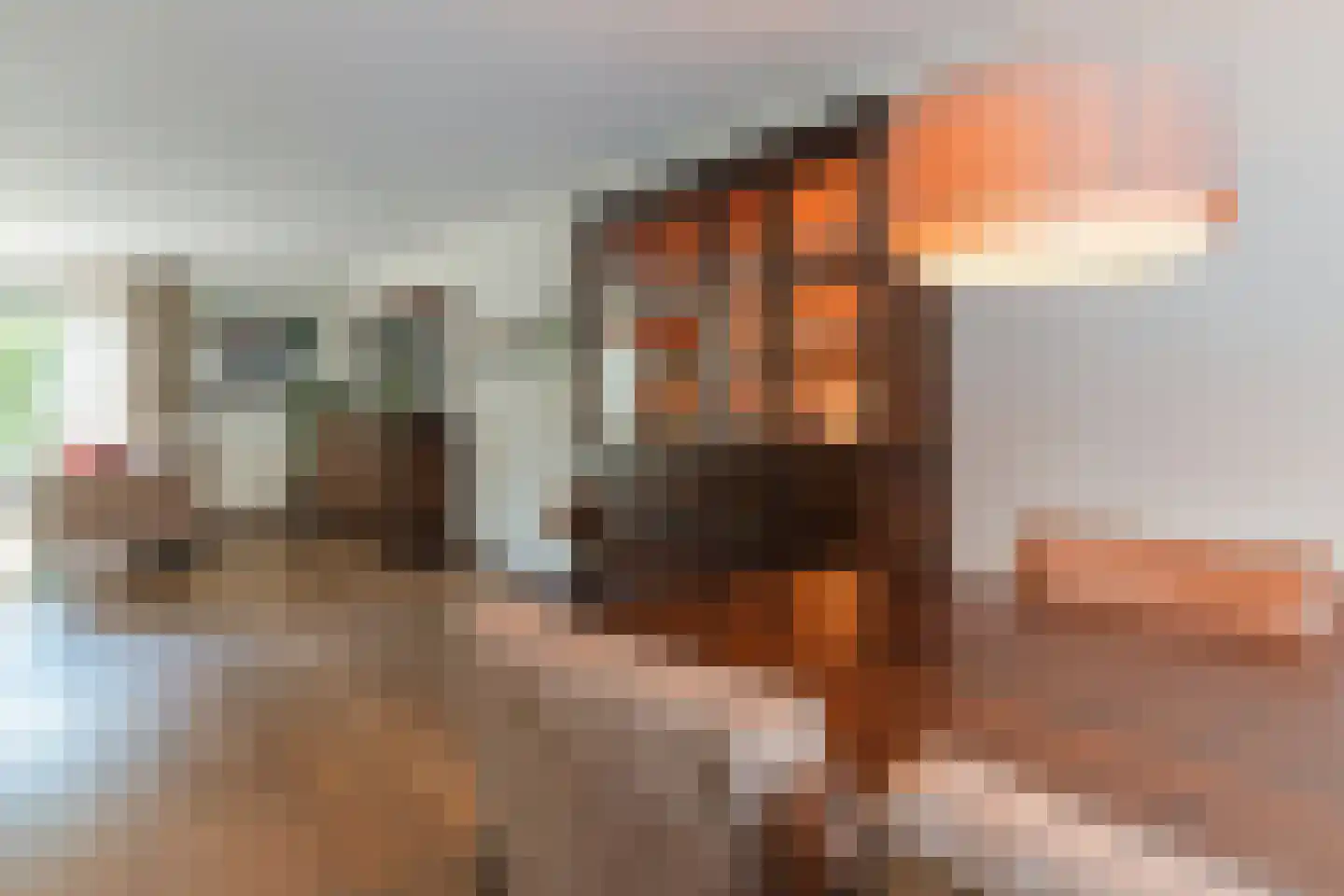 Pyreneeënstraat 15 Woerden thumbnail 19