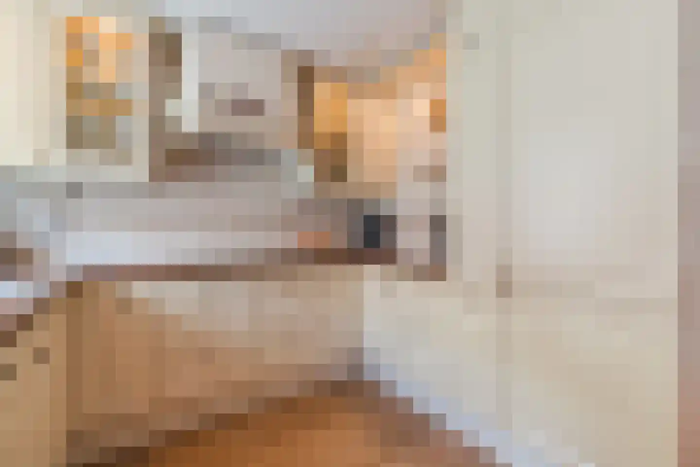 Pyreneeënstraat 15 Woerden thumbnail 22