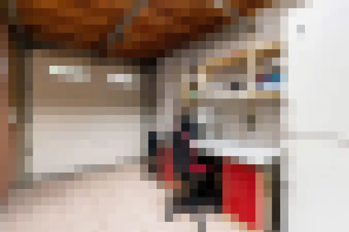 Pyreneeënstraat 15 Woerden thumbnail 62