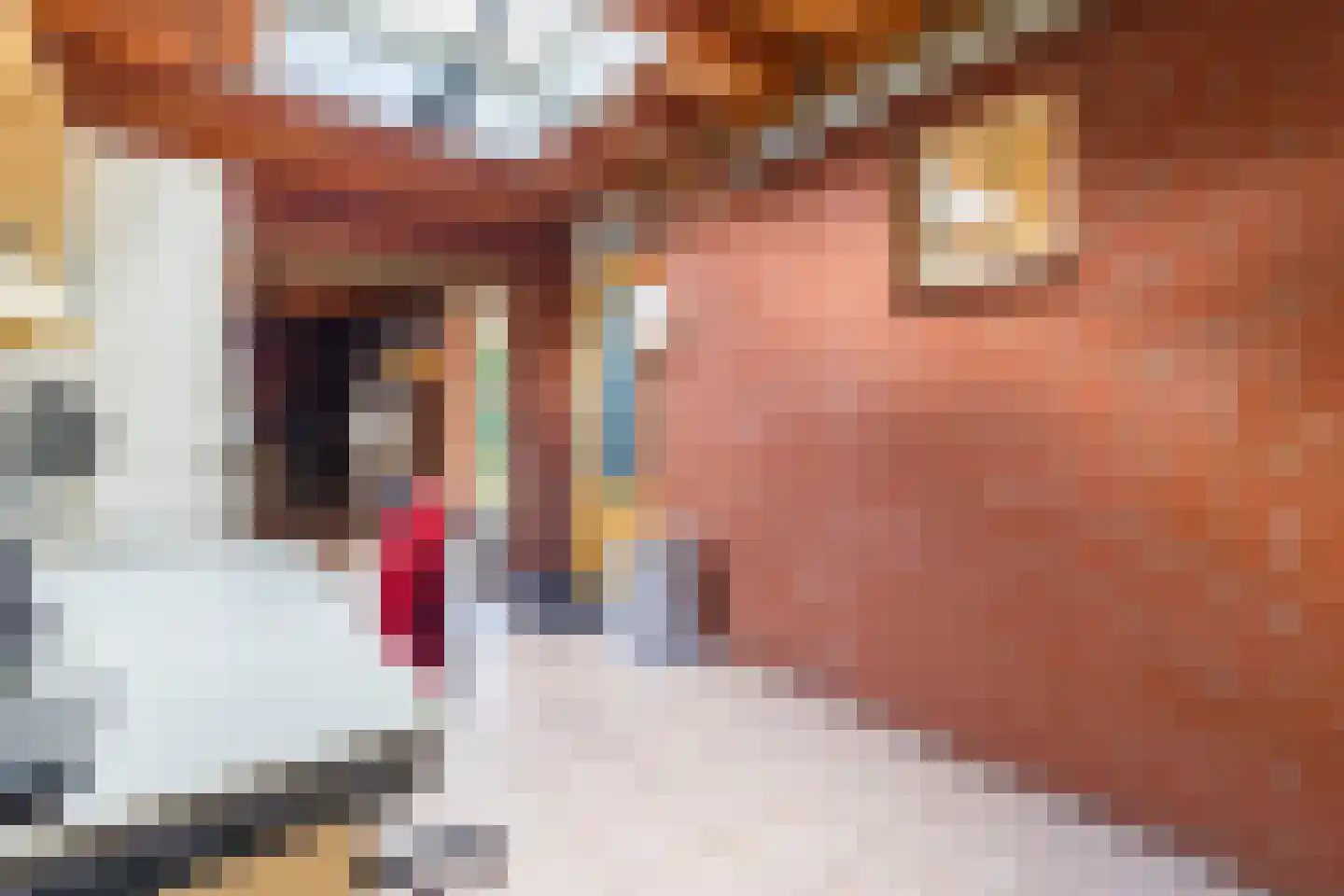 Pyreneeënstraat 15 Woerden thumbnail 64