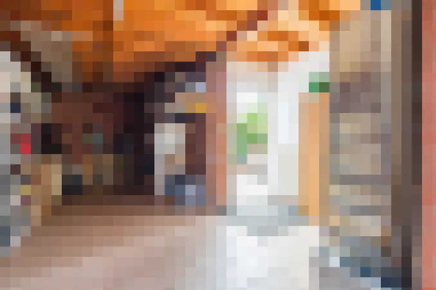 Pyreneeënstraat 15 Woerden thumbnail 65