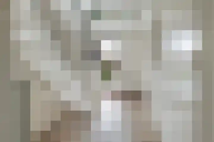 Pyreneeënstraat 26 Woerden thumbnail 5