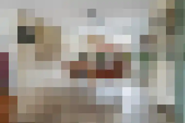 Pyreneeënstraat 26 Woerden thumbnail 8