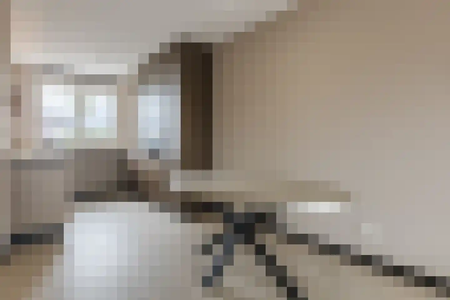 Pyriet 16 Zevenbergen thumbnail 10