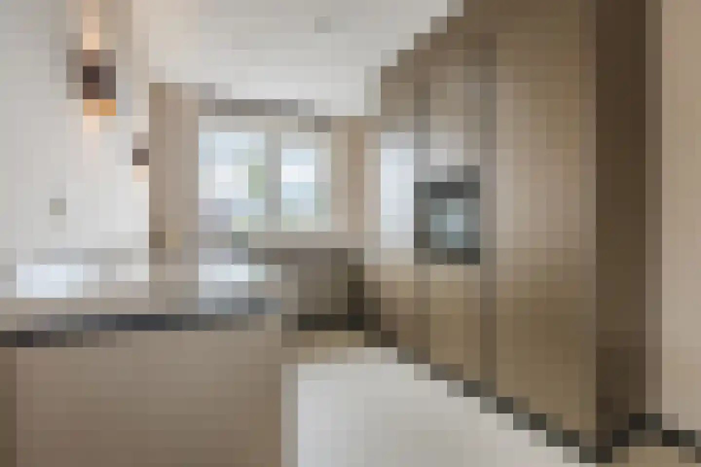 Pyriet 16 Zevenbergen thumbnail 11