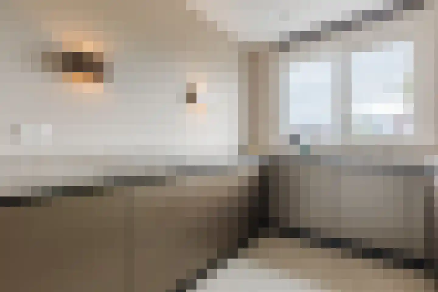 Pyriet 16 Zevenbergen thumbnail 13