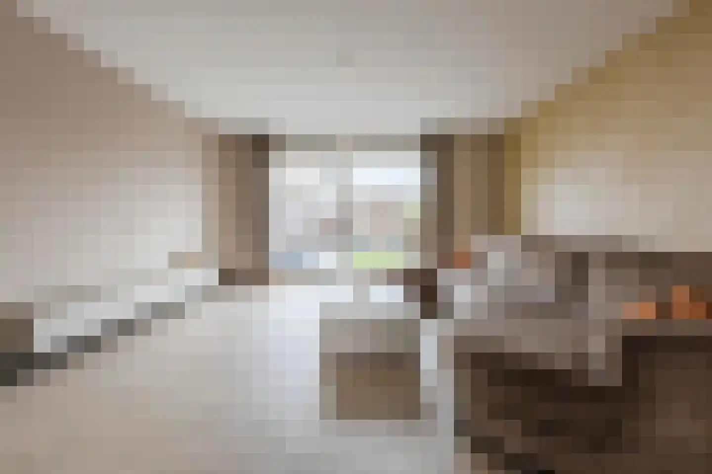 Pyriet 16 Zevenbergen thumbnail 7