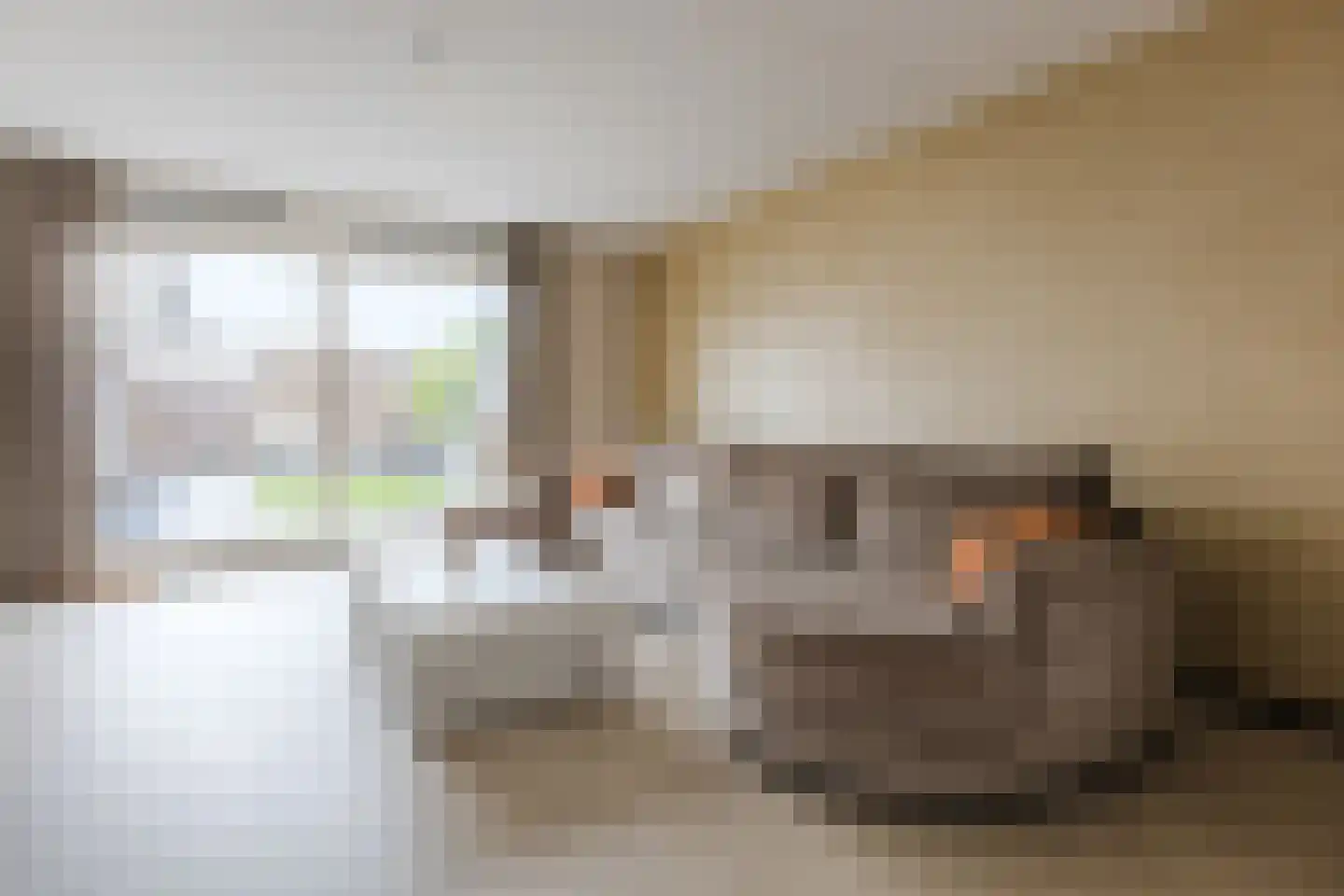 Pyriet 16 Zevenbergen thumbnail 8