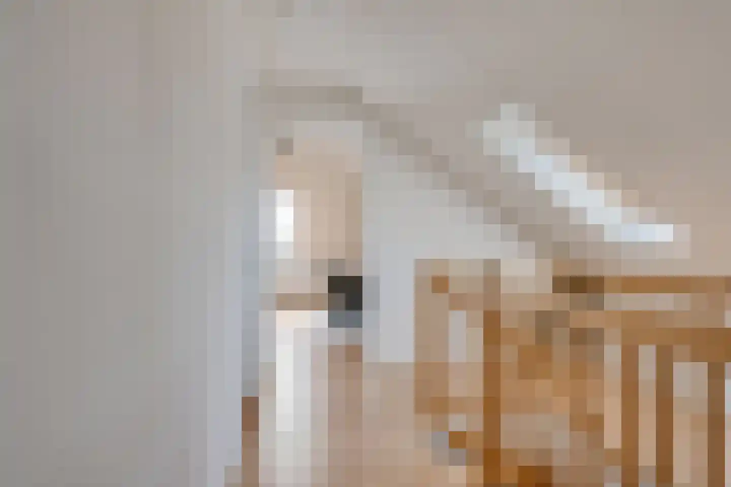 Pyriet 5 6 Drachten thumbnail 31