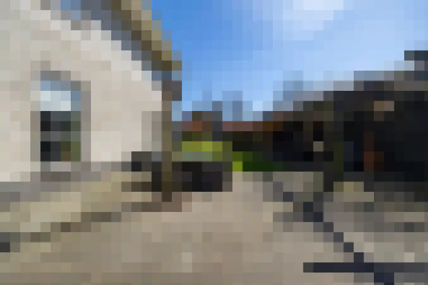 Pyriet 5 6 Drachten thumbnail 37