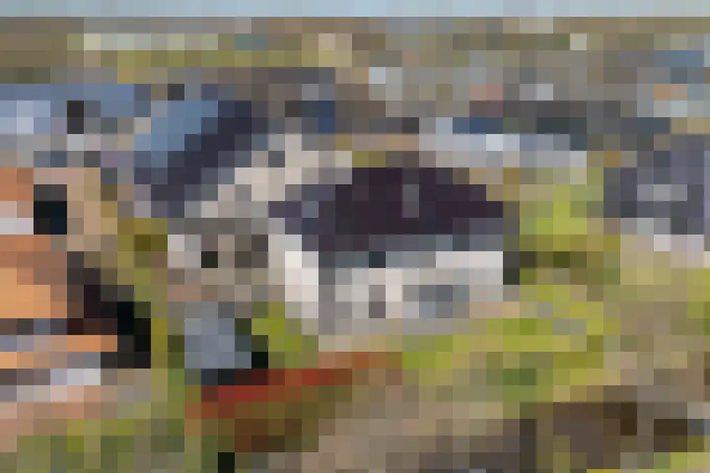 Pyriet 5 6 Drachten thumbnail 4