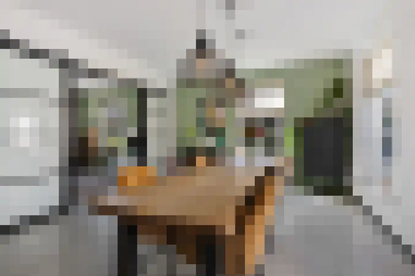 Pyriet 5 6 Drachten thumbnail 9