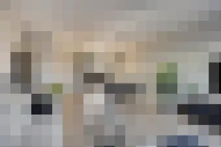 Pyriet 6 Zevenbergen thumbnail 11