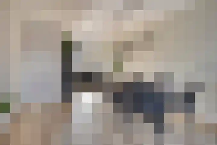 Pyriet 6 Zevenbergen thumbnail 12