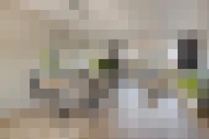 Pyriet 6 Zevenbergen thumbnail 13