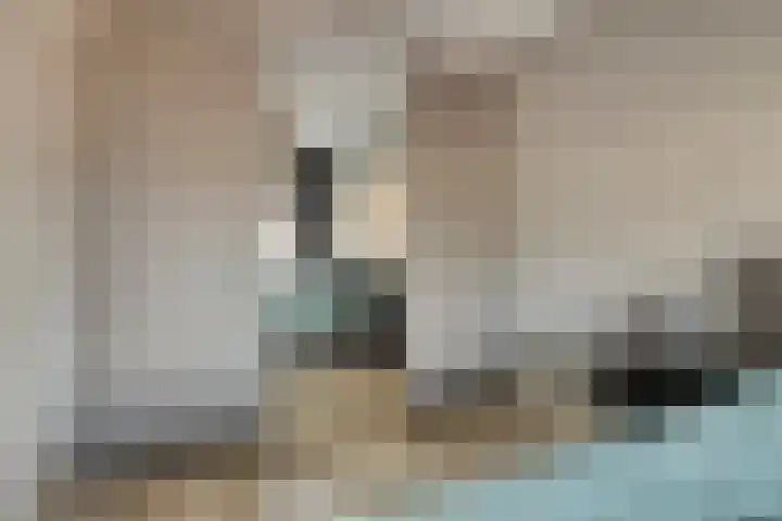 Pyriet 6 Zevenbergen thumbnail 18