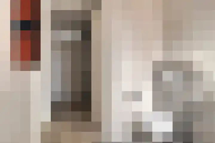 Pyriet 6 Zevenbergen thumbnail 20