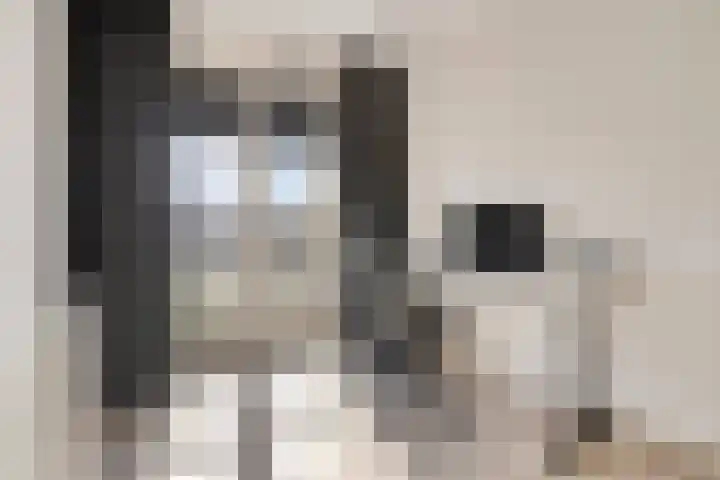 Pyriet 6 Zevenbergen thumbnail 21