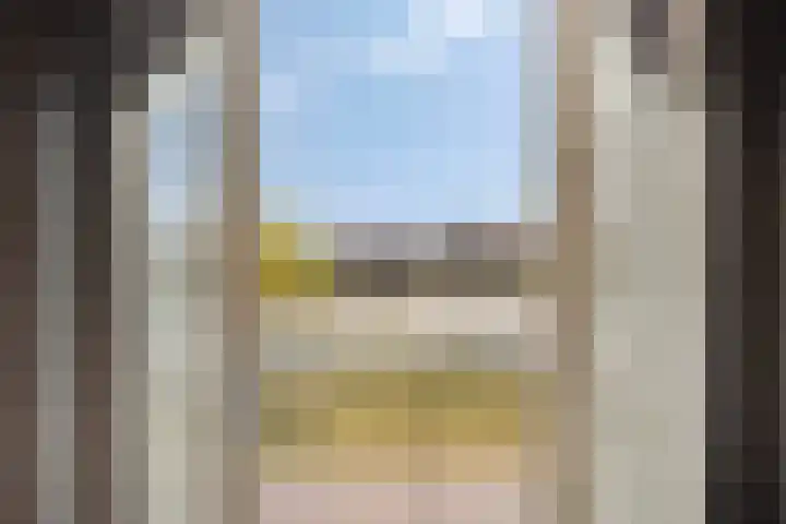 Pyriet 6 Zevenbergen thumbnail 22