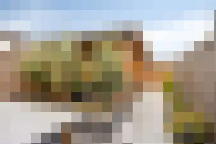 Pyriet 6 Zevenbergen thumbnail 27