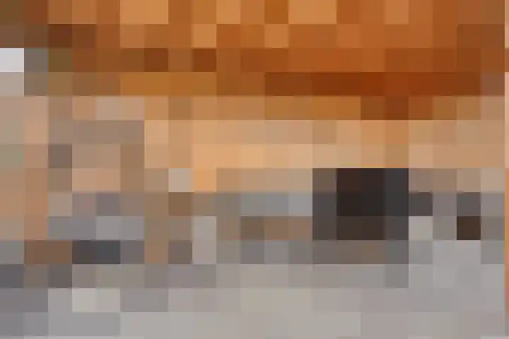 Pyriet 6 Zevenbergen thumbnail 29