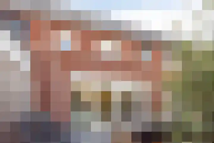 Pyriet 6 Zevenbergen thumbnail 30