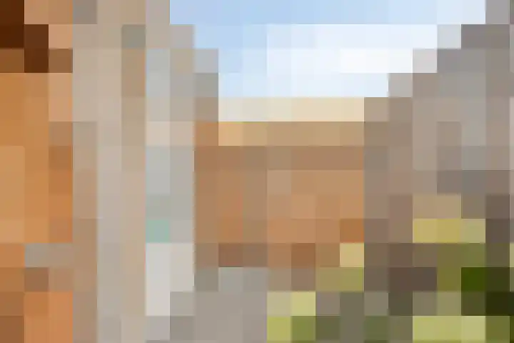 Pyriet 6 Zevenbergen thumbnail 31