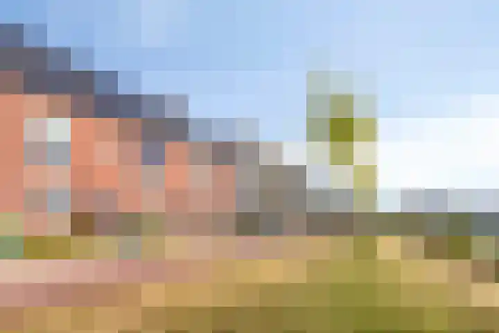 Pyriet 6 Zevenbergen thumbnail 32