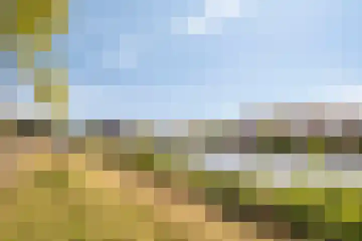 Pyriet 6 Zevenbergen thumbnail 34