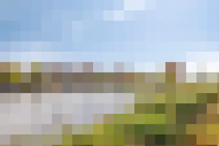 Pyriet 6 Zevenbergen thumbnail 35