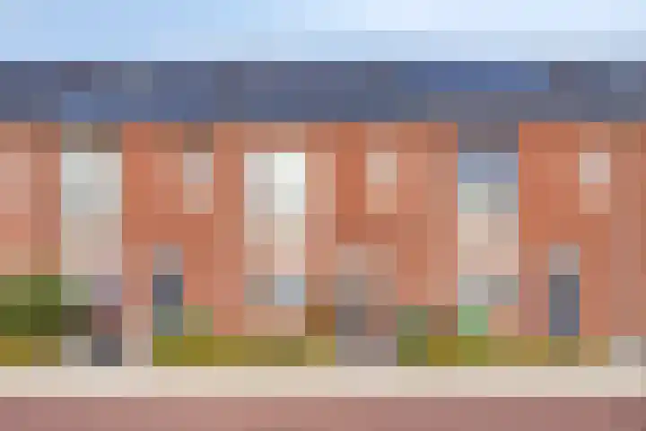 Pyriet 6 Zevenbergen thumbnail 4