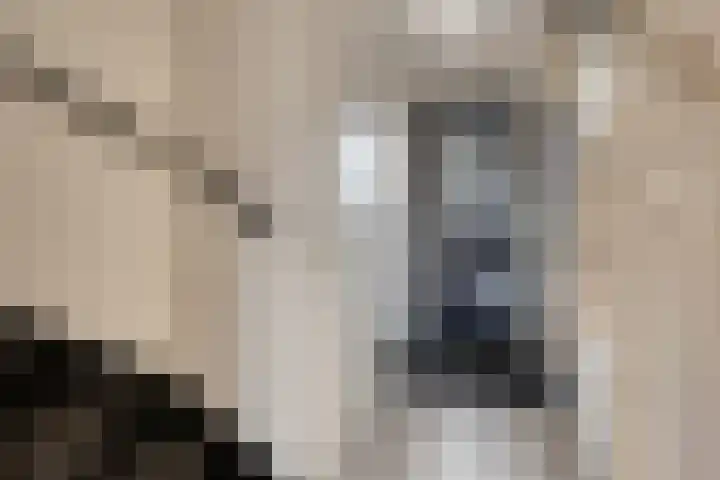 Pyriet 6 Zevenbergen thumbnail 5
