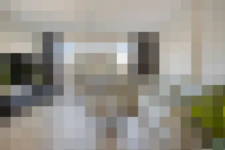 Pyriet 6 Zevenbergen thumbnail 7
