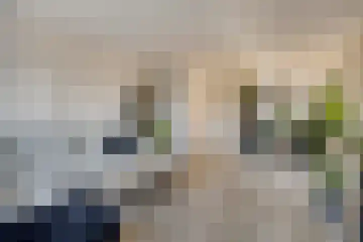 Pyriet 6 Zevenbergen thumbnail 9