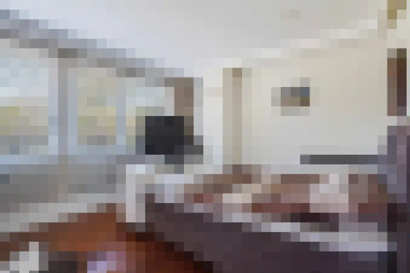 Pyrolalaan 96 Den Haag thumbnail 33
