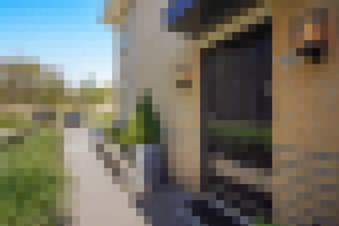 Pyrolalaan 96 Den Haag thumbnail 7