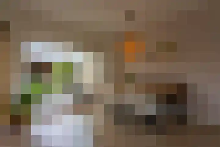Pyrostraat 5 Voerendaal thumbnail 10