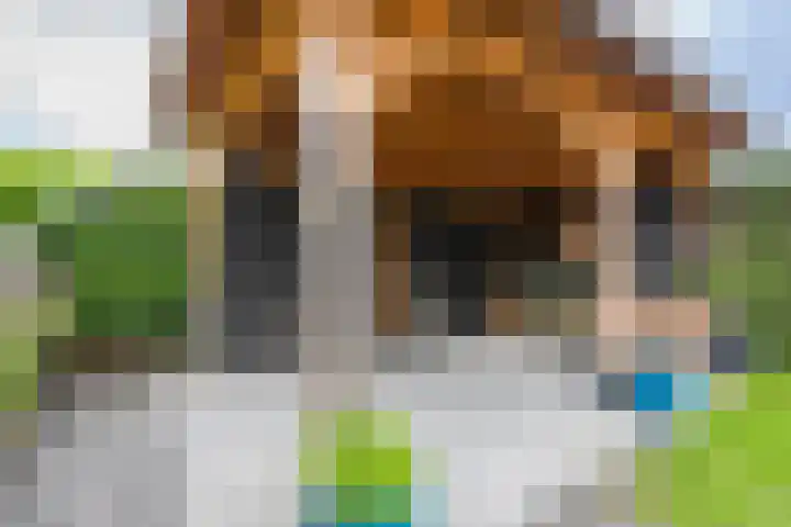 Pyrostraat 5 Voerendaal thumbnail 16