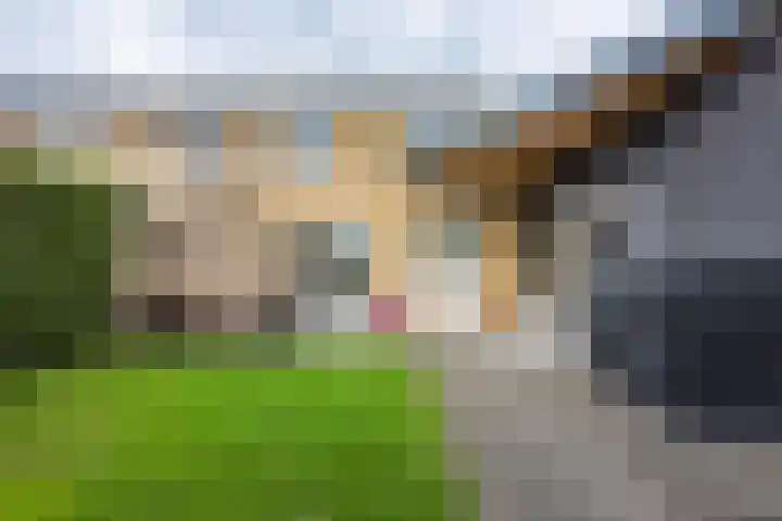 Pyrostraat 5 Voerendaal thumbnail 18