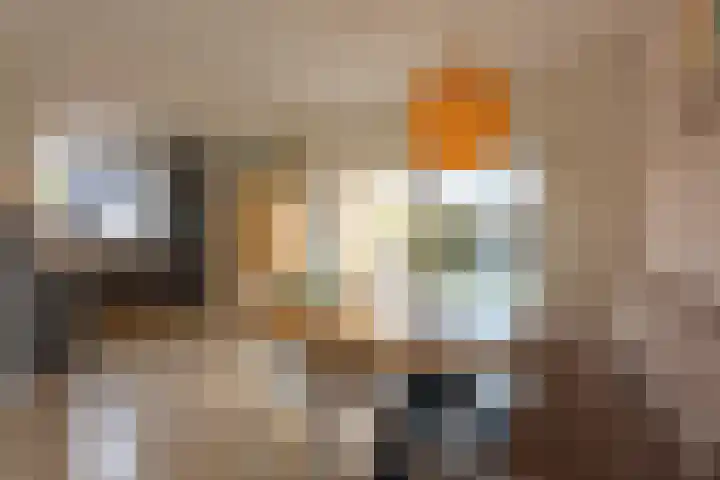 Pyrostraat 5 Voerendaal thumbnail 9