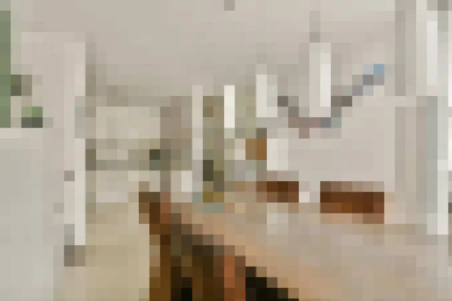 Pythagoraspark 28 Huizen thumbnail 9
