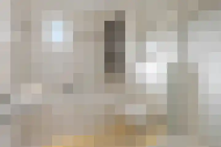 Pythagorasplantsoen 14 Den Haag thumbnail 20
