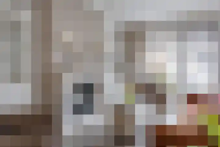 Pythagorasplantsoen 14 Den Haag thumbnail 8